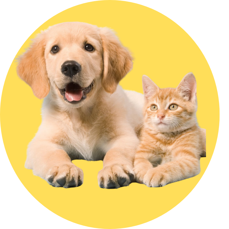 Pets