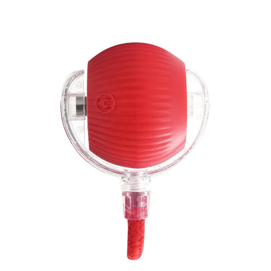 PawRoller Smart Interactive Rolling Ball Toy - My Store